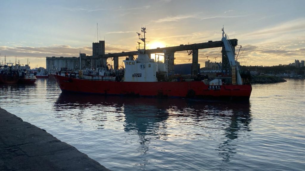 Menor oferta de merluza en el muelle: Lo que ajusta por cantidad lo convalida por precio