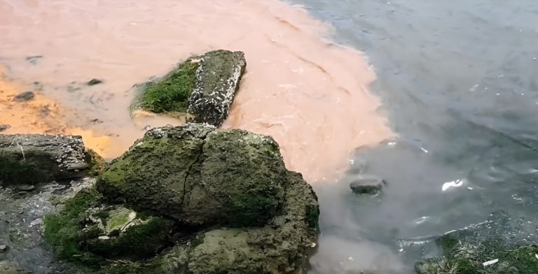 Contaminaci贸n ambiental: La Fiscal铆a pidi贸 condena de efectivo cumplimiento para directivos responsables