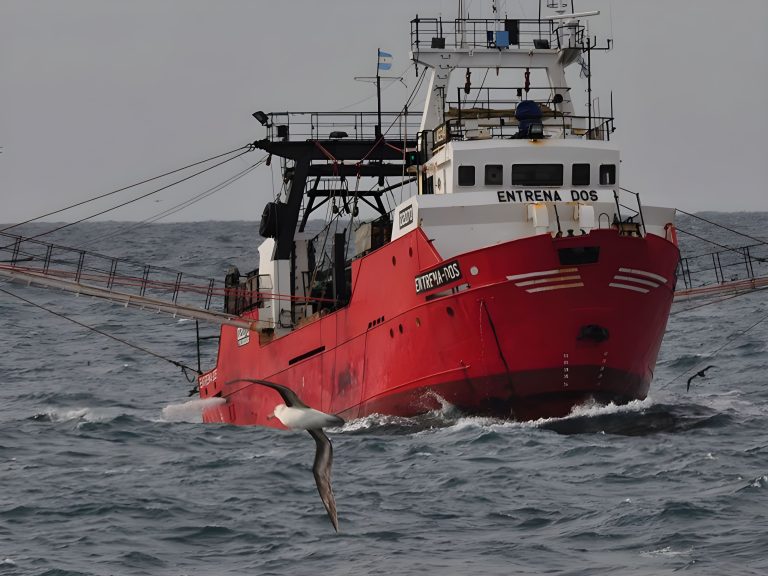 El BP Entrena Dos estuvo m谩s de 24 horas a la deriva y fue auxiliado por el BP Don Cayetano