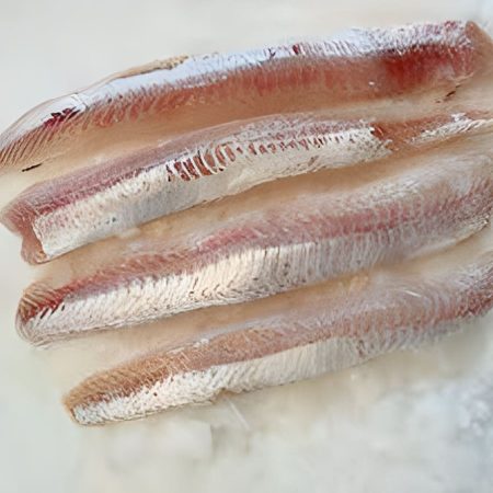 Resolución CTMFM Nro.10/2025. Fija nuevas medidas para la pesca de pez palo en la ZCP