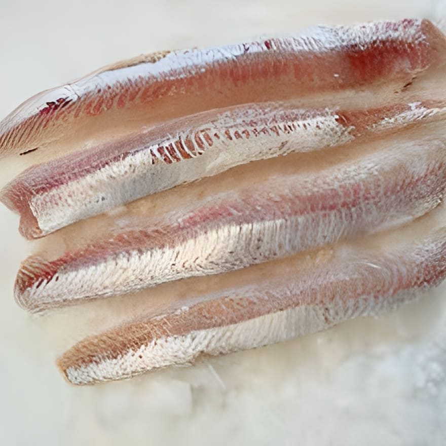 Resoluci贸n CTMFM Nro.10/2025. Fija nuevas medidas para la pesca de pez palo en la ZCP