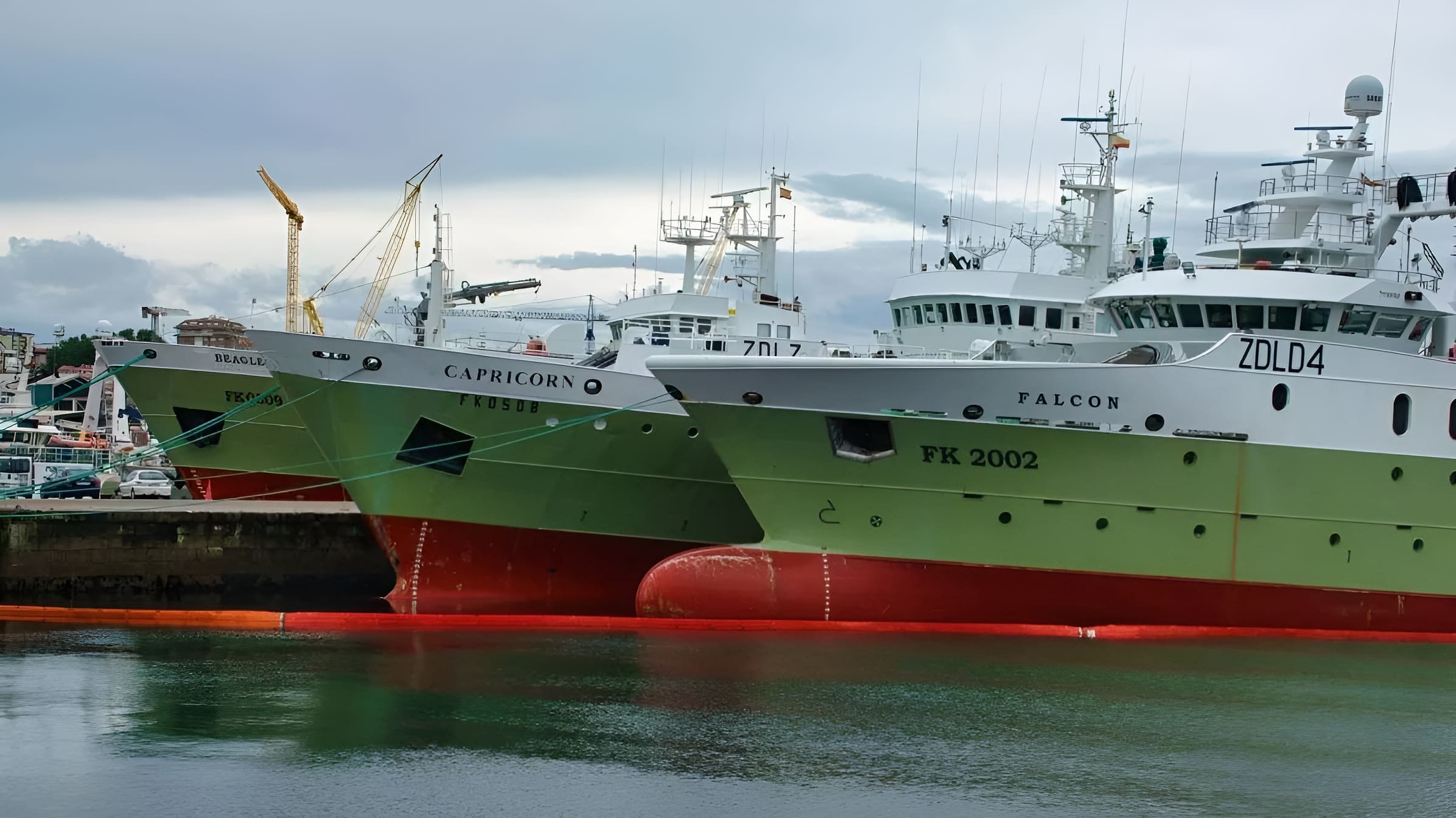 Islas Malvinas. La zafra del calamar Loligo sigue en curso aunque persiste la amenaza de cierre