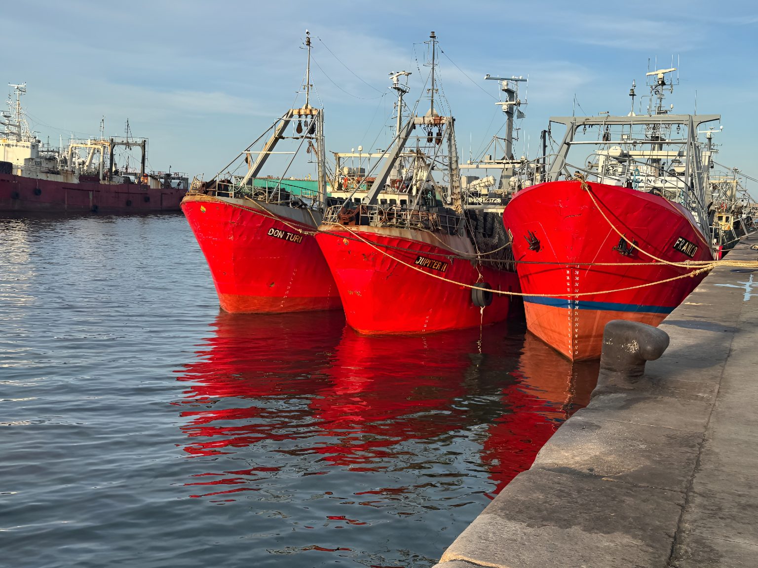 Bycatch de langostino: Cuándo y por qué se permite hasta un 20%