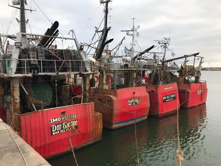 El CFP modifica en forma excepcional las medidas de manejo de langostino