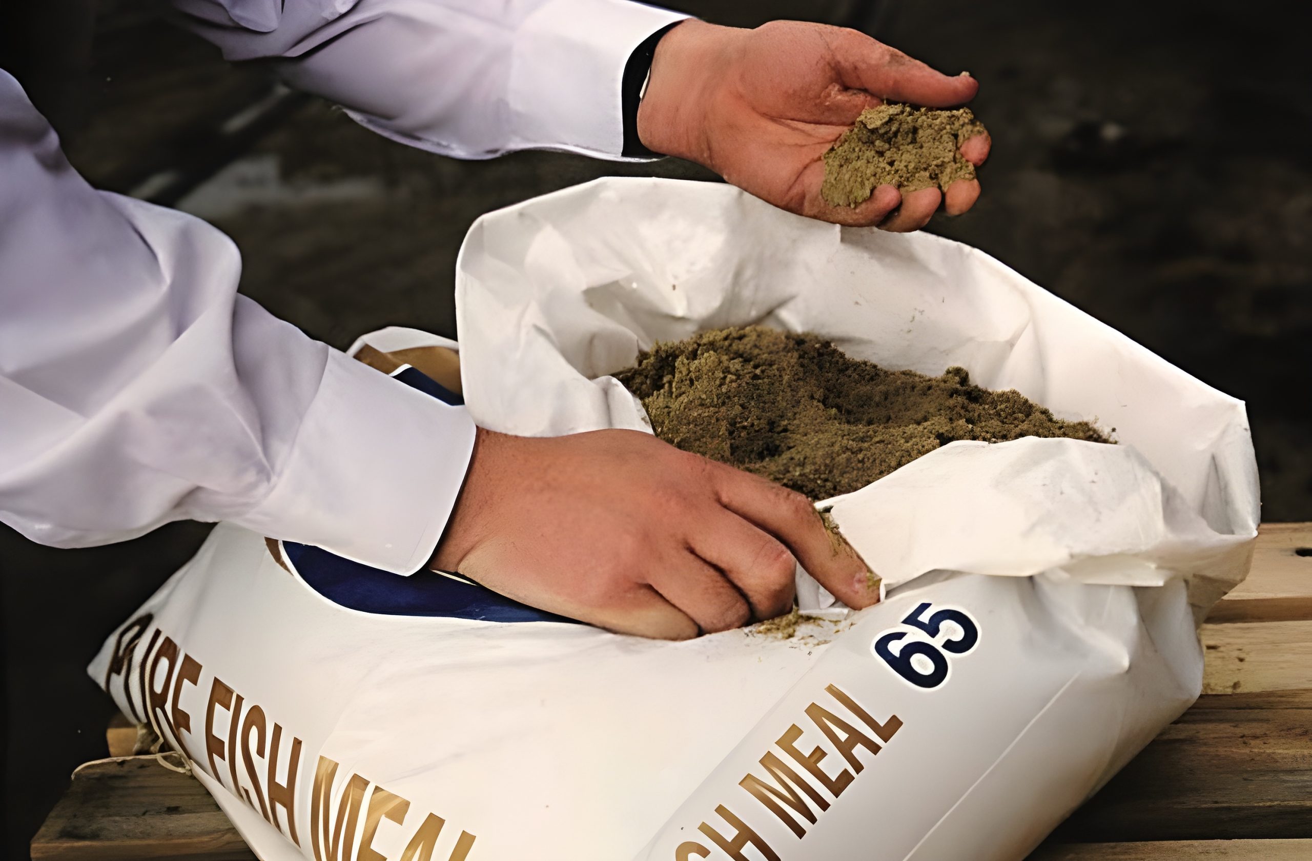 Ca铆da en la producci贸n mundial de harina de pescado y se帽ales de recuperaci贸n en la demanda china