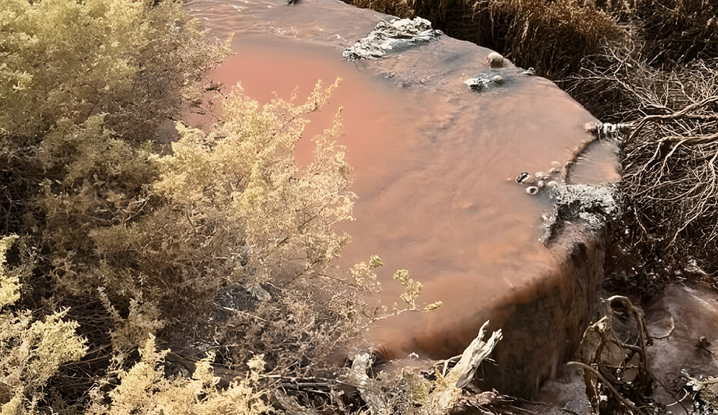 Comenz贸 el juicio a directivos de Conarpesa por presunta contaminaci贸n en el Golfo Nuevo