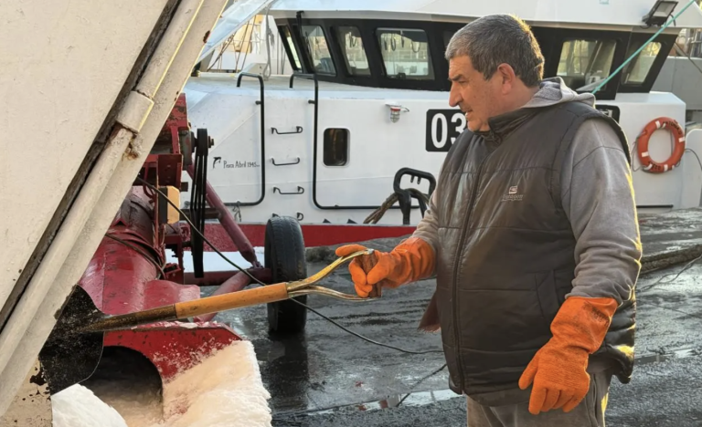 Mar del Plata. Desde hoy el servicio de estibaje y alistamiento cuesta un 9% más