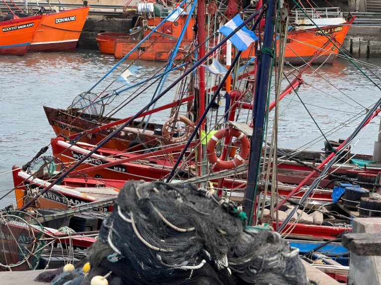 El mar en retirada: Un espect谩culo inusual en Mar del Plata