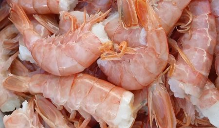 Consejo Federal Pesquero. Sesión semanal, Acta Nro. 26/2025: Cambios en la pesquerÃa de langostino para congeladores