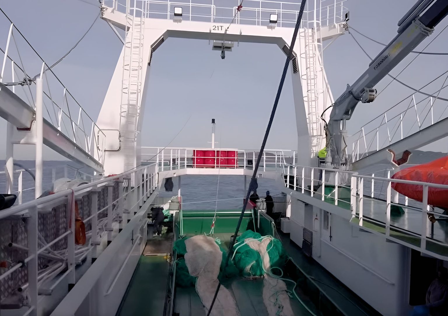 Langostino. Tras la prospección, quedó abierta a la pesca comercial la Subárea 15