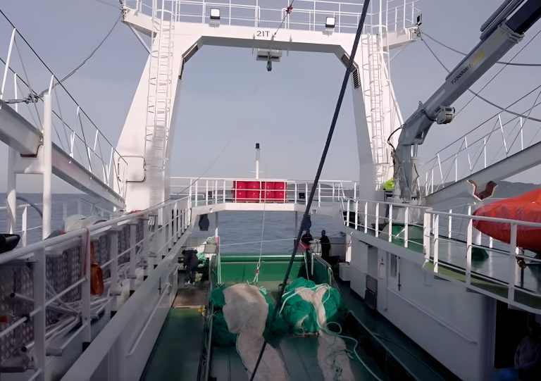 Langostino. Tras la prospecci贸n, qued贸 abierta a la pesca comercial la Sub谩rea 15