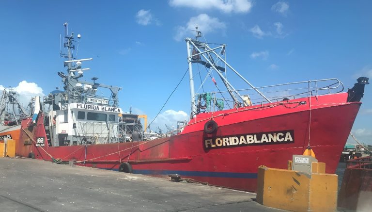 Mar del Plata 2025: La temporada de caballa inicia con capturas moderadas y mercado expectante