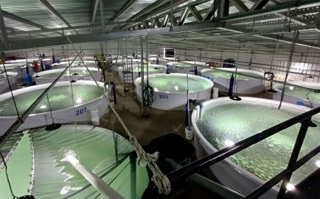 Acuicultura en crecimiento: INIDEP recorri贸 la planta de trucha arco铆ris l铆der en Argentina