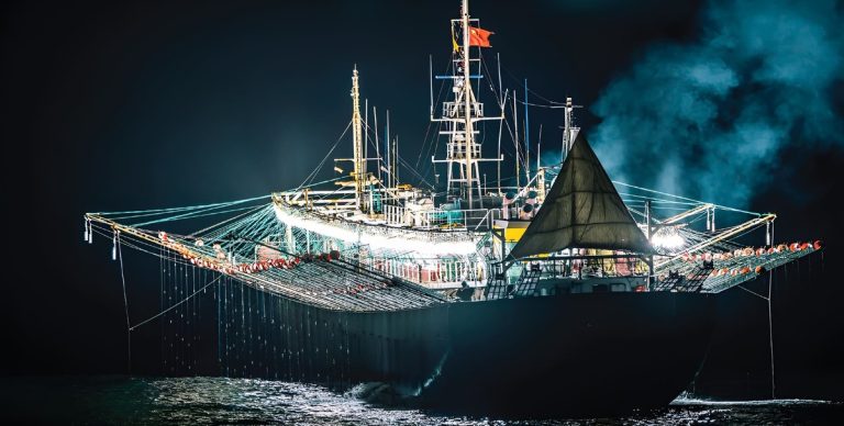La falta de control en alta mar pone en jaque al calamar argentino