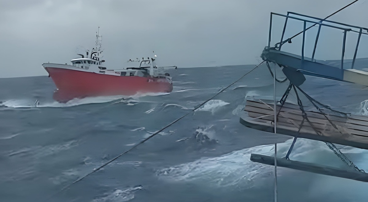 Langostino con cambios: Cierran subárea 7 y prospectan en 5 y 13