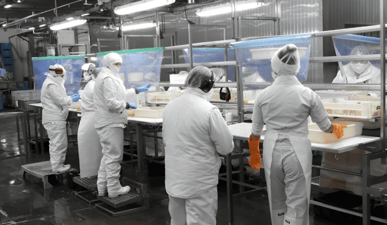 Chubut intima a Red Chamber a devolver los bienes de Alpesca antes del 30 de septiembre