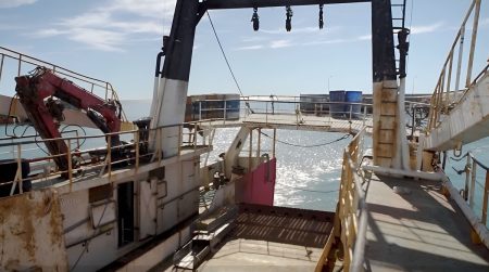 Subárea 5 sin langostino: Concluyó la prospección sin capturas