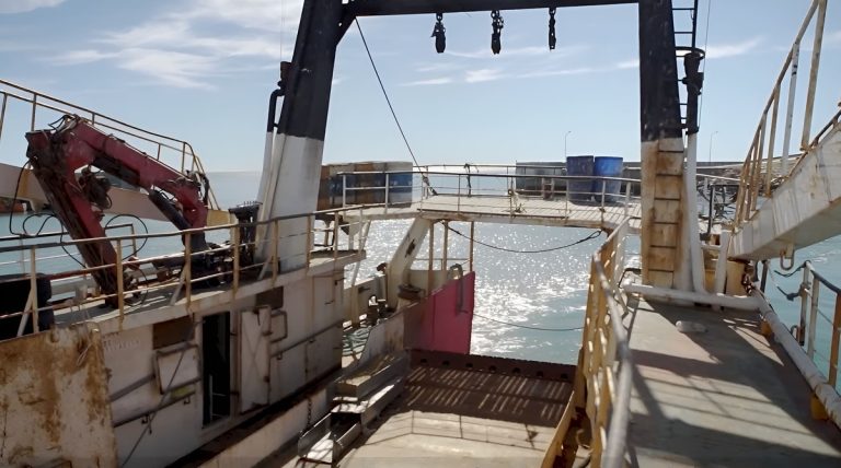 Sub谩rea 5 sin langostino: Concluy贸 la prospecci贸n sin capturas