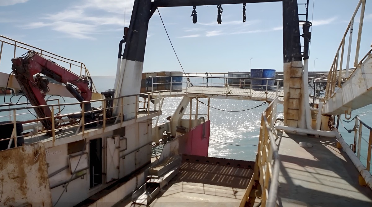 Sub谩rea 5 sin langostino: Concluy贸 la prospecci贸n sin capturas