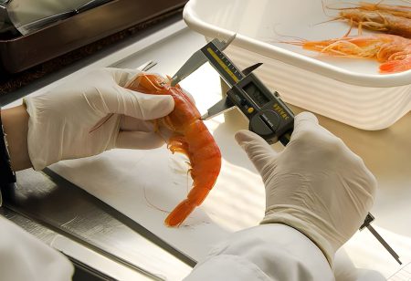 INIDEP abre la inscripción al curso de Observadores a Bordo de Buques Comerciales 2025