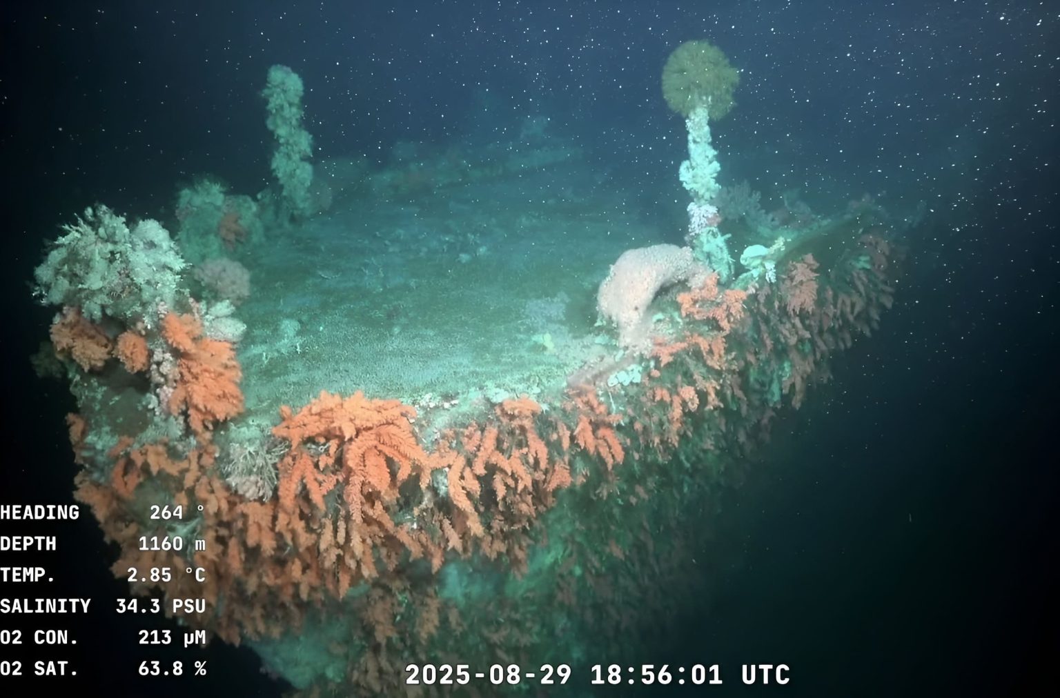 El Falkor Too localizó los restos del destructor uruguayo ROU Uruguay DE-1 hundido en 1995