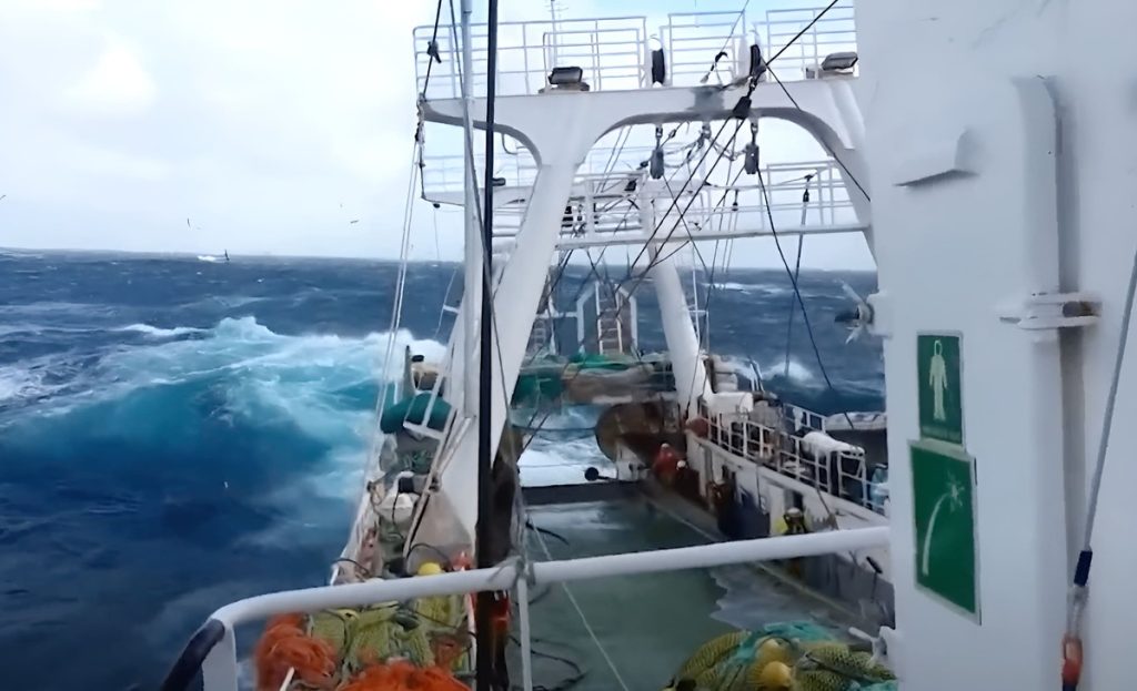 Malvinas cierra la pesquería de calamar: 18.000 toneladas y un final anticipado