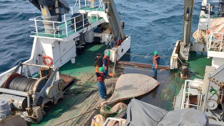 El INIDEP finaliz贸 la calibraci贸n de aparejos de media agua a bordo del BIP V铆ctor Angelescu