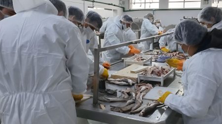 Reactivaci贸n pesquera en Puerto San Juli谩n