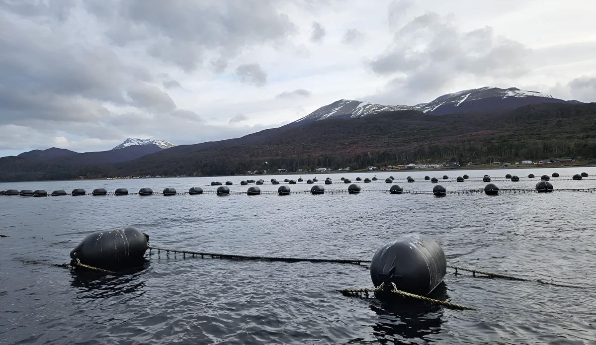 Argentina impulsa los sistemas alimentarios acu谩ticos con apoyo de la FAO