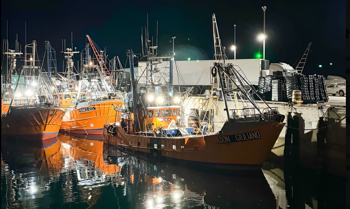 Se autorizó el inicio de la prospección de langostino en aguas provinciales de Chubut