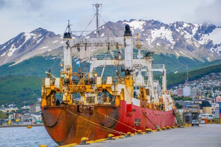 Se distribuyó merluza negra a la flota con permiso de pesca de la especie