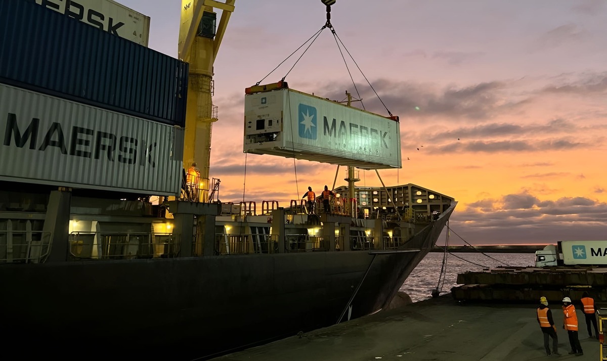 Comercio Exterior: Hasta septiembre la pesca comercial argentina exportó por U$S 1494 Millones