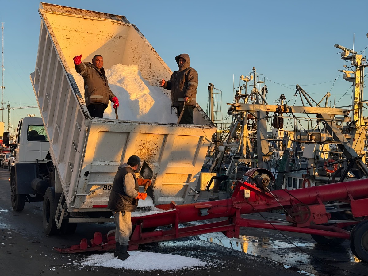 Fren茅tica jornada en los muelles del puerto de Mar del Plata