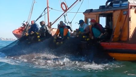 1 de Octubre en Argentina: Día del Mar y de la Riqueza Pesquera