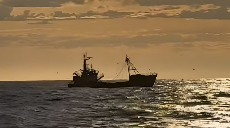 Entre la necesidad y el apuro: Los marineros del SOMU aceptaron la propuesta y comienza la temporada de langostino en Chubut