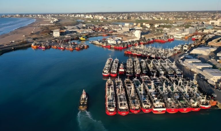 Informe de Coyuntura Pesquera Septiembre: El pulso de la pesca argentina late en Mar del Plata