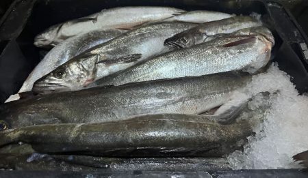 Consejo Federal Pesquero. Sesión semanal, Resolución Nro.12/2025: Se prorrogó la reducción del DUE