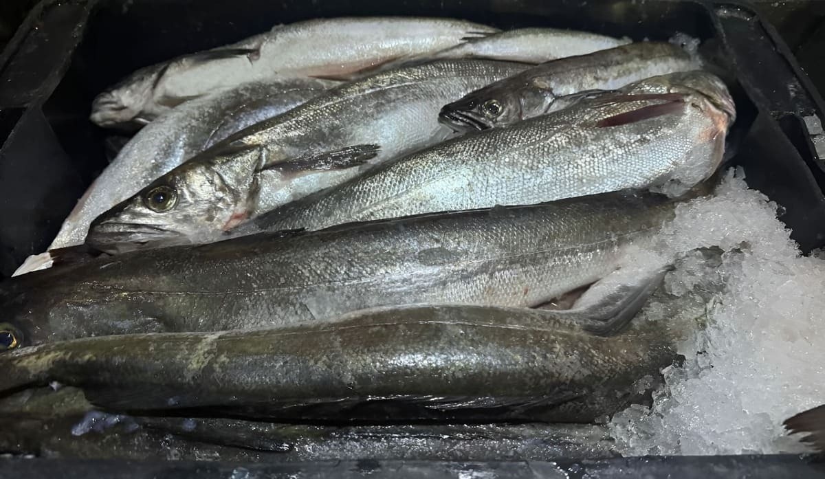 Consejo Federal Pesquero. Sesi贸n semanal, Resoluci贸n Nro.12/2025: Se prorrog贸 la reducci贸n del DUE