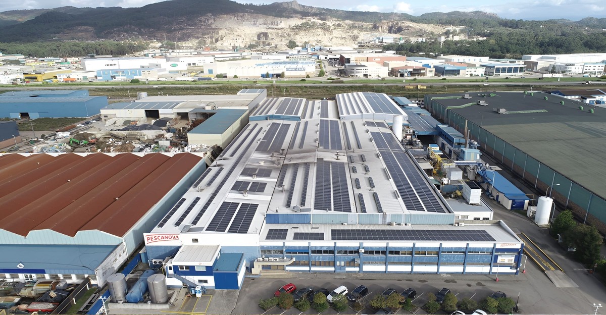 Grupo Nueva Pescanova: Desarrolla inteligencia artificial para optimizar la producción pesquera