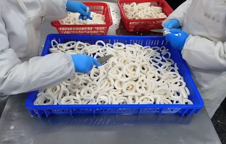 El Relevamiento Productivo Pesquero 2025: Una convocatoria clave para la industria