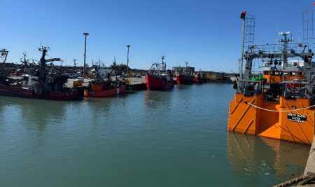 Consejo Federal Pesquero. Sesión semanal, Acta Nro. 29/2025