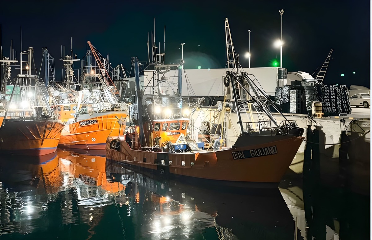 Tensi贸n en el sector langostinero ante la intransigencia del SOMU en Rawson