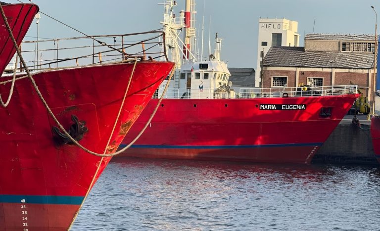 Concluy贸 la Temporada de Langostino 2025 en aguas nacionales: Balance, tensiones, acuerdos y lecciones