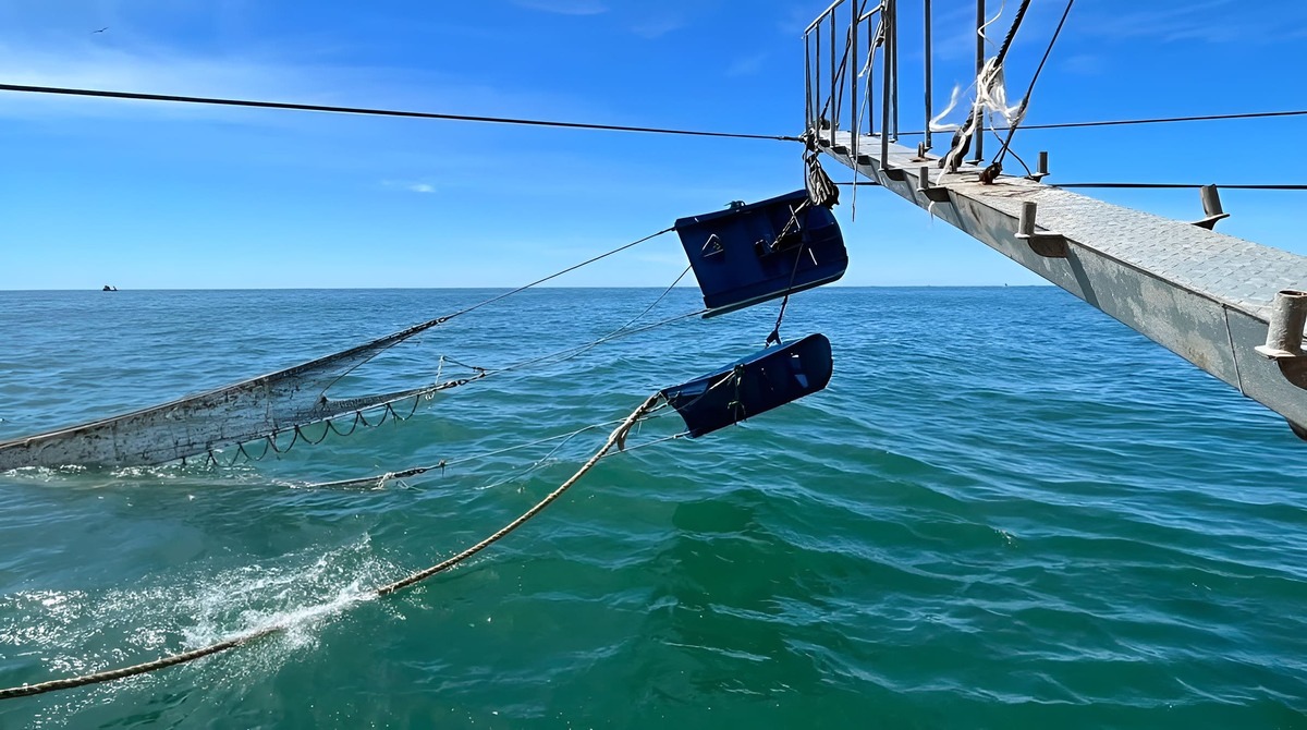 Conxemar 2025 deja buenas señales mientras Chubut se alista para la temporada de langostino