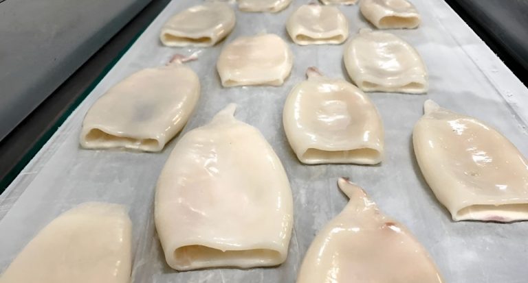 Libertad empresarial y racionalidad econ贸mica en la cadena manufacturera del calamar