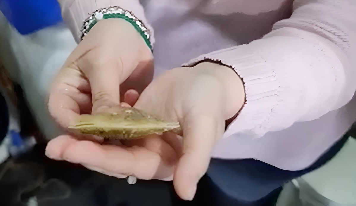 El INIDEP conmemora 48 años de investigación con una propuesta científica abierta al público