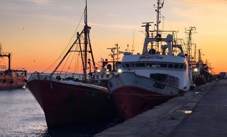 Acta CFP Nro. 31/2025: Pedir谩n informes sobre el langostino procesado a bordo