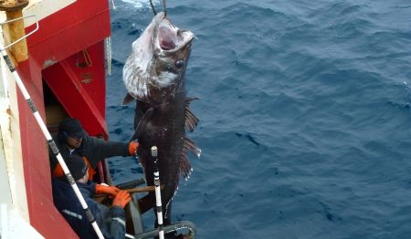 Argenova reiter贸 el pedido de aprobar los planes de manejo en las 谩reas protegidas Namuncur谩 y Yaganes