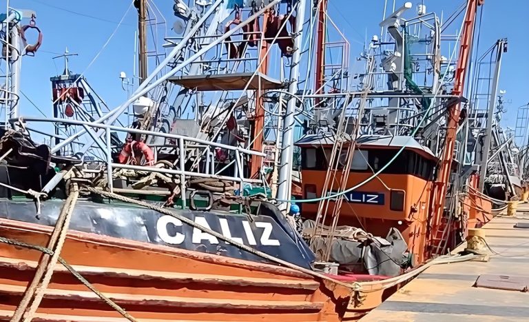 Consejo Federal Pesquero. Sesi贸n semanal. Acta Nro. 32/2025