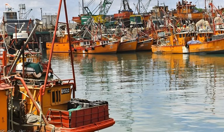 21 de Noviembre, DÃa mundial de la Pesca: Herencia, Mar y Trabajo